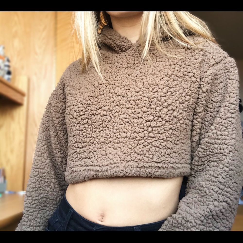 Brown Fuzzy Cropped Sweater